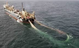 SMK Jurusan Teknika Kapal Penangkap Ikan : Pengertian, Apa yang Dipelajari, dan Prospek Kerja